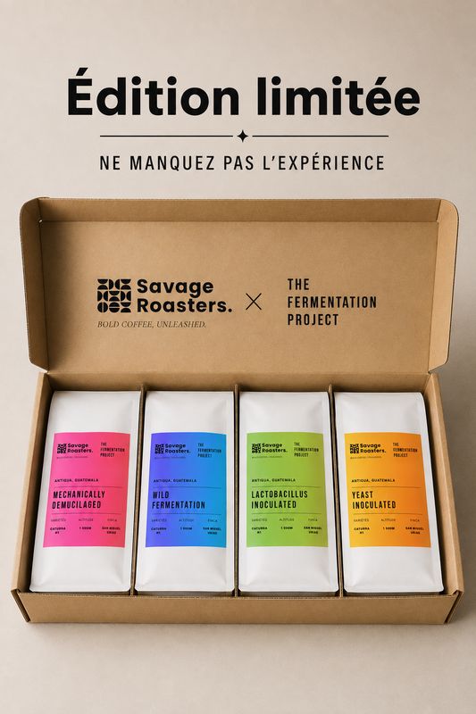 "The Fermentation Project" Tasting Set - by James Hoffmann & Lucia Solis: Guatemala, Antigua